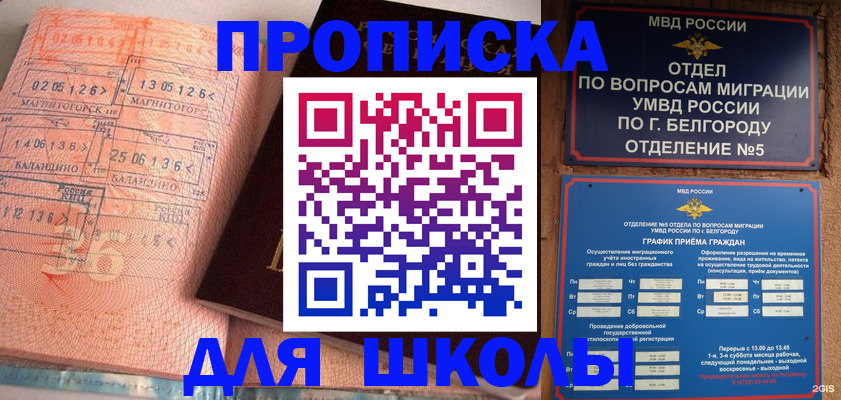 прописка иностранных граждан в Тосно